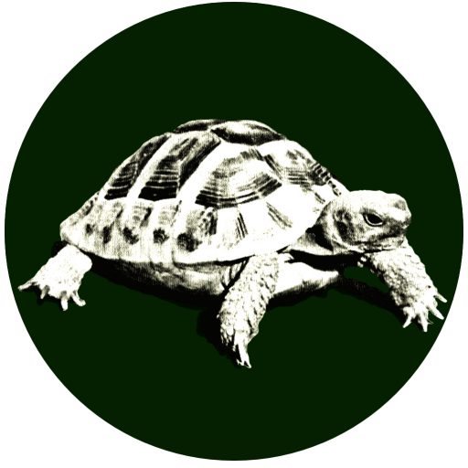 1000 Hasen, original since 2007 by Tina Oelker